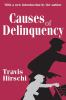 Causes_of_delinquency