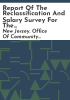 Report_of_the_reclassification_and_salary_survey_for_the_Borough_of_Somerville__Somerset_County