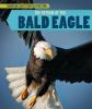 The_return_of_the_bald_eagle